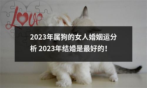 2023年属狗的女人婚姻运分析2023年结婚是好的！