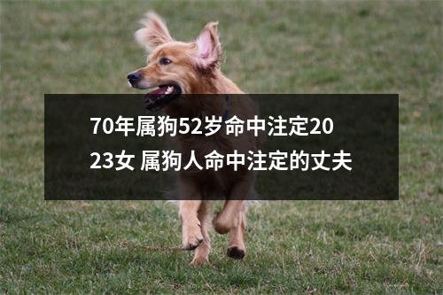70年属狗52岁命中注定2023女属狗人命中注定的丈夫