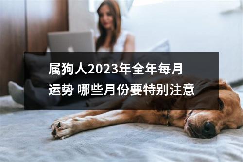 属狗人2023年全年每月运势哪些月份要特别注意