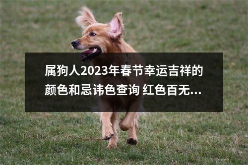 属狗人2023年春节幸运吉祥的颜色和忌讳色查询红色百无禁忌
