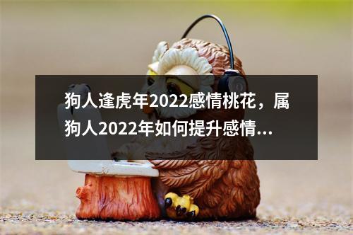 狗人逢虎年2022感情桃花，属狗人2022年如何提升感情运