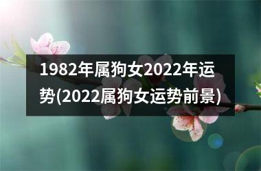 1982年属狗女2022年运势(2022属狗女运势前景)