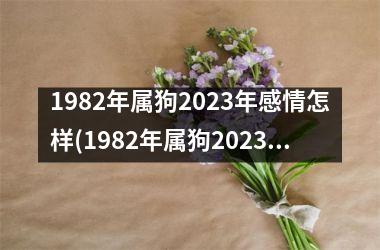 1982年属狗2023年感情怎样(1982年属狗2023年运势)