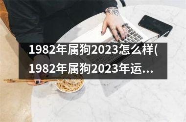 1982年属狗2023怎么样(1982年属狗2023年运势)