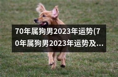 70年属狗男2023年运势(70年属狗男2023年运势及运程详解每月运程)