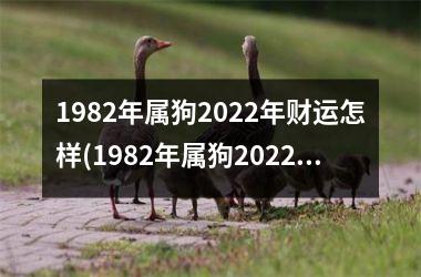 1982年属狗2022年财运怎样(1982年属狗2022年运势及运程每月运程)