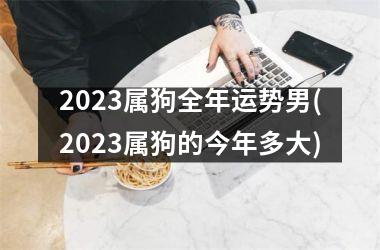 2023属狗全年运势男(2023属狗的今年多大)