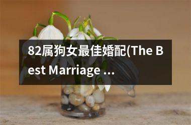 82属狗女最佳婚配(The Best Marriage Compatibility for Female Dogs born in '82)