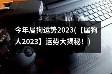 今年属狗运势2023(【属狗人2023】运势大揭秘！)