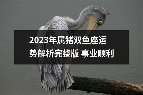 2023年属猪双鱼座运势解析完整版事业顺利