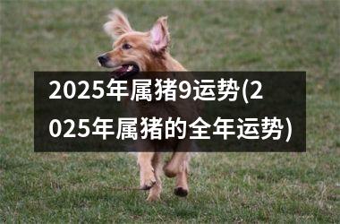 2025年属猪9运势(2025年属猪的全年运势)