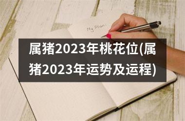 属猪2023年桃花位(属猪2023年运势及运程)