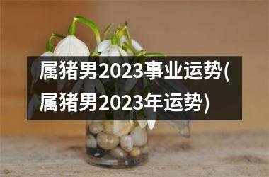属猪男2023事业运势(属猪男2023年运势)