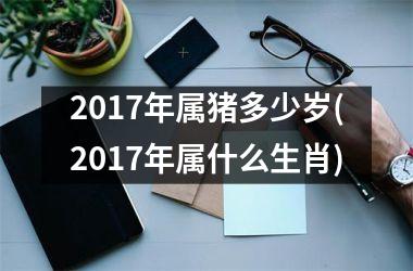 2017年属猪多少岁(2017年属什么生肖)