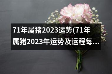 71年属猪2023运势(71年属猪2023年运势及运程每月运程)