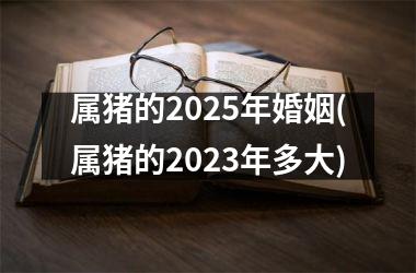 属猪的2025年婚姻(属猪的2023年多大)