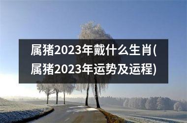 属猪2023年戴什么生肖(属猪2023年运势及运程)