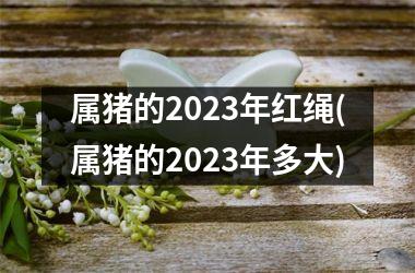 属猪的2023年红绳(属猪的2023年多大)