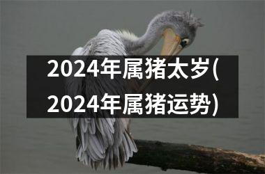 2024年属猪太岁(2024年属猪运势)
