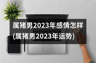 属猪男2023年感情怎样(属猪男2023年运势)