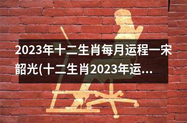 2023年十二生肖每月运程一宋韶光(十二生肖2023年运势详解)