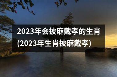 2023年会披麻戴孝的生肖(2023年生肖披麻戴孝)