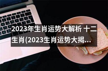 2023年生肖运势大解析 十二生肖(2023生肖运势大揭秘)