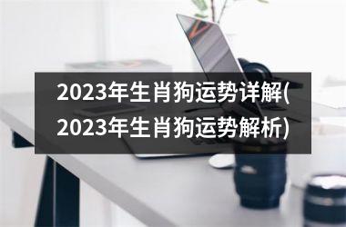 2023年生肖狗运势详解(2023年生肖狗运势解析)