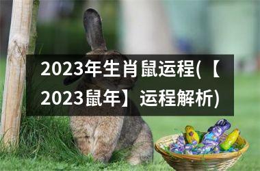 2023年生肖鼠运程(【2023鼠年】运程解析)