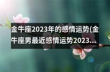 金牛座2023年的感情运势(金牛座男最近感情运势2023)