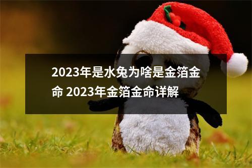 2023年是水兔为啥是金箔金命2023年金箔金命详解