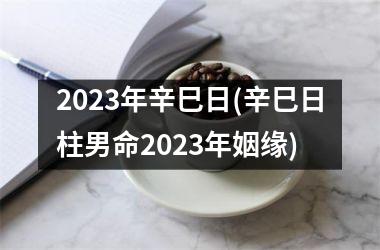 2023年辛巳日(辛巳日柱男命2023年姻缘)