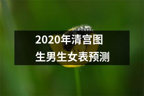 2020年清宫图生男生女表预测